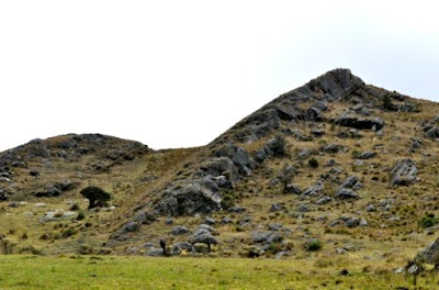 park