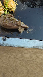 Photo n°8 de Le Lonjoie à Saint-Benoît (Restaurant)