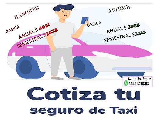 Asesor Gaby Villegas Seguros Auto y Vida - Thumbnail