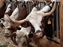 La ferme pédagogique du Perrier à Boisset-Saint-Priest