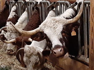 Photo n°1 de La ferme pédagogique du Perrier à Boisset-Saint-Priest (Ferme pédagogique)