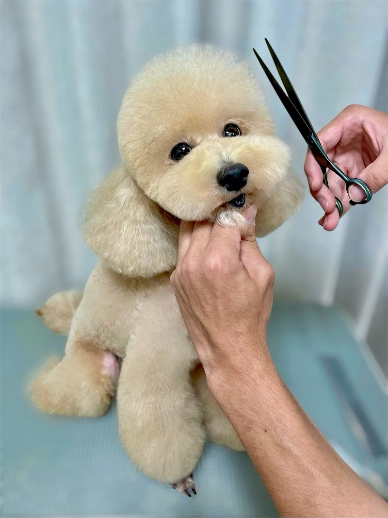 ペットショップ Aペット(ペットプラザ)奈良三条大路店