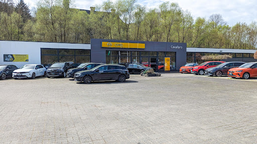 Hoppmann Gruppe | Attendorn · Cavallaro Logo