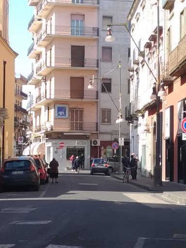 Tuccillo - Visual