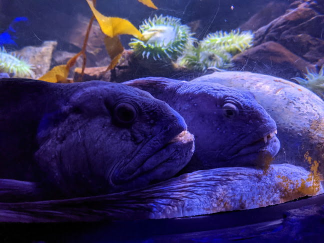 County Hall, Belvedere Rd, London SE1 7GP, United Kingdom