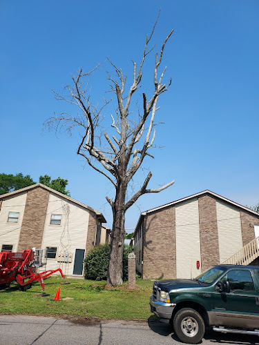 Stein Tree Contracting