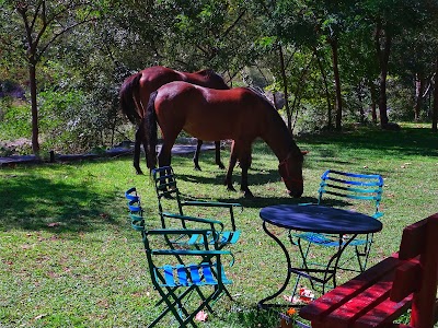 Photos of Agriani Hotel