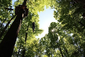 Fontdouce - Parc Aventure