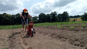 Photo n°4 de La Ferme Intention à La Chapelle-Chaussée (Ferme bio)