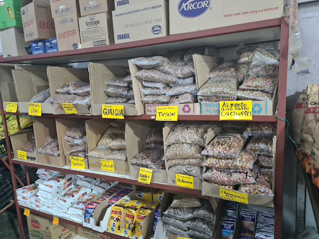 4720000 Victoria, 4720000 Araucanía