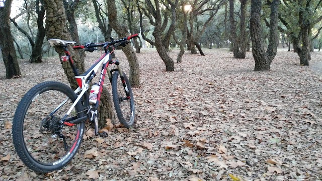 José Gomes Ferreira park
