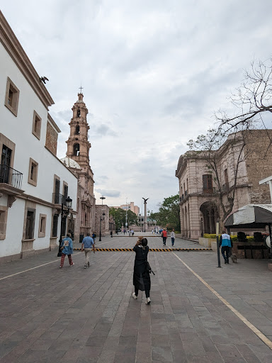Ciudad de Aguascalientes - Visual