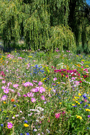 Pluktuin de Grens