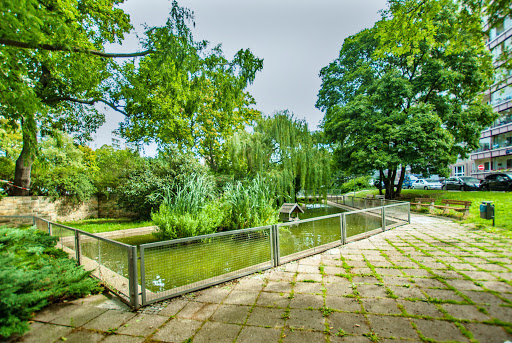 Entchenteich - Visual