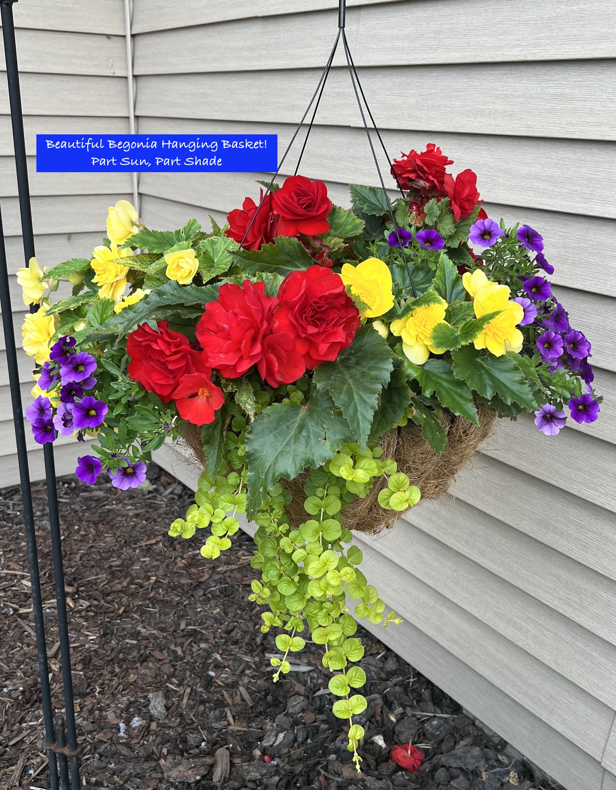 Vern's Greenhouse