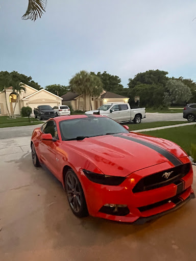 WpB Details - Visual
