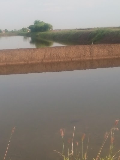 Photos of Tambak Pangkalan