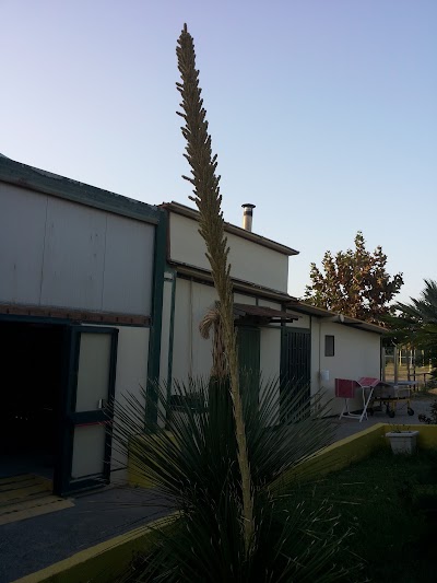 Photos of Lido Nettuno