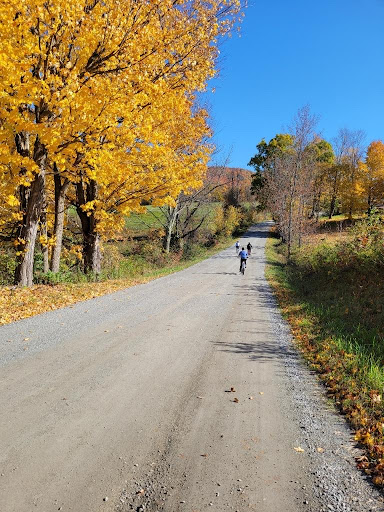 Battenkill Bicycles - Visual