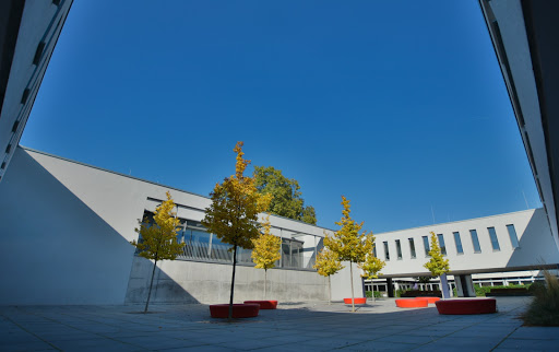 Ludwig-Schwamb-Schule - Thumbnail