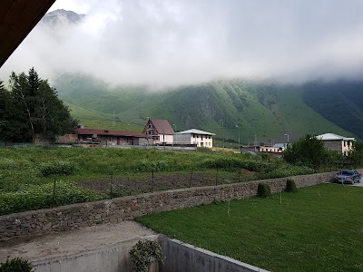 Photos of Green Sheep