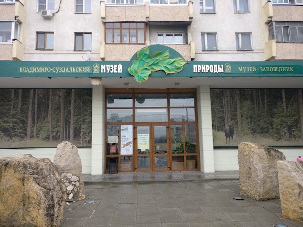 Музей природы ул мира 19 владимир фото