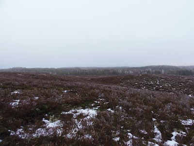Photos of Jussi j&auml;rvestiku matkarada
