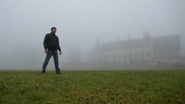 Château royal de Villers-Cotterêts (1532)