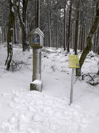 Wolfsäule - Visual