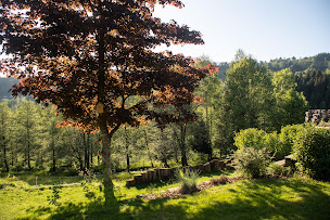 Photo n°29 de Gîte la Retorderie à Saulxures-sur-Moselotte (Gîte)