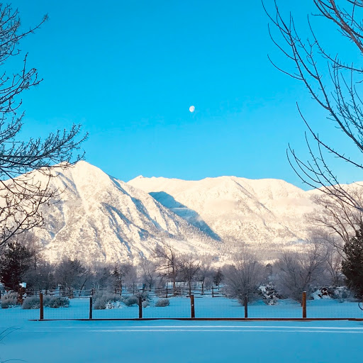 minden electric - Visual