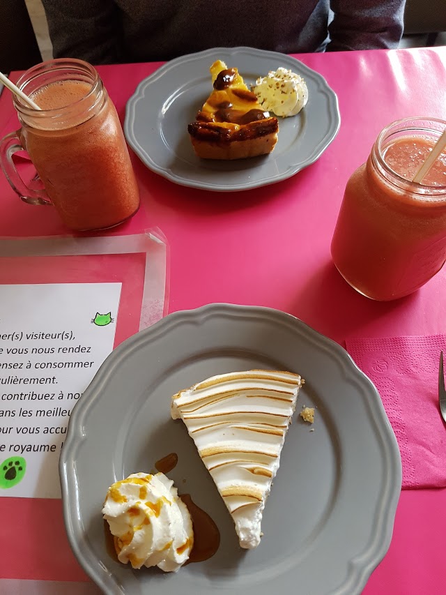 Chatperlipopette Café