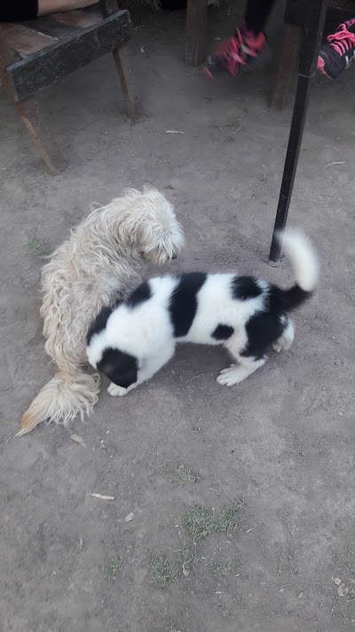 Photos of Veterinaria Tulum