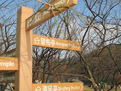 Photos of Luogang Xiangxue