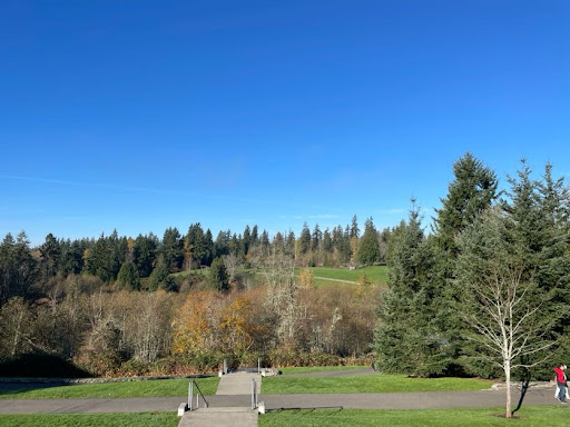 Sammamish Commons