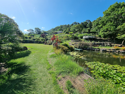 Maleny Botanic Gardens & Bird World Gallery - Australia