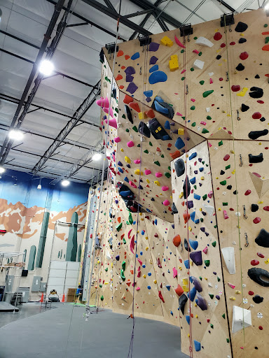 Gecko Climbing Gym - Thumbnail