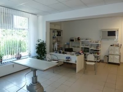 Photos of Veterinarian and cattery