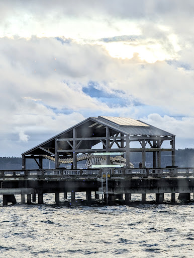 Port Townsend Marine Science Center - Visitor Center and Store - Thumbnail