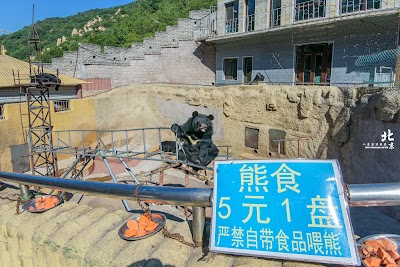 Photos of Badaling Bear Paradise