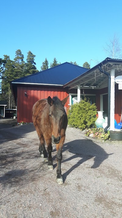 Photos of Lomahypp&auml;ys