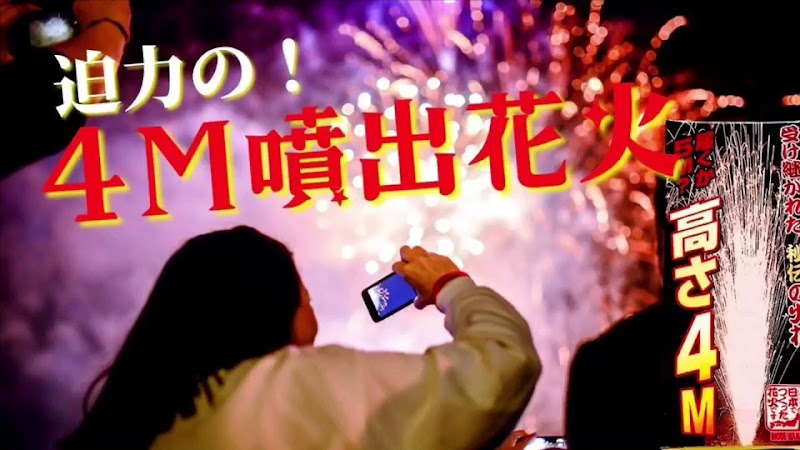 有限会社 斉藤商店