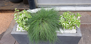 Photo n°50 de La Maison Bleue à Sainte-Maxime (Brasserie)