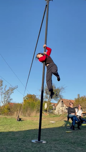 Scoala de circ - Școală
