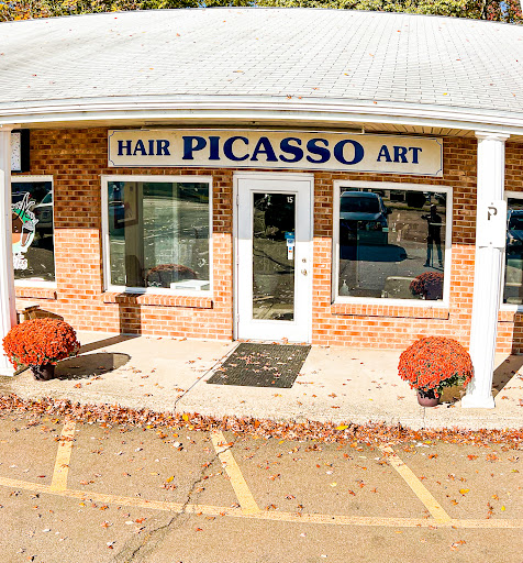 Picasso Hair Art - Thumbnail