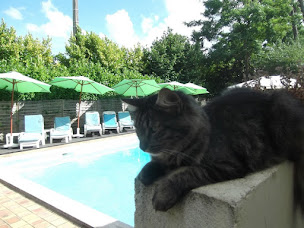 Photo n°33 de Aux Châtaigniers Chambres D'hôtes Et Gîtes à Langon (Chambre d'hôtes)