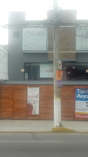 Pole Dance & Fitness Studio 223 Gallery - Mexico