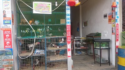 Photos of PET WORLD