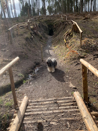 Fledermausstollen - Visual