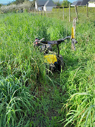 Photo n°9 de ouistiti location et service , prestation avec débrousailleuse a fléaux, trancheuse de sol ,mini pelle rogneuse de souches à Fégréac (Société de travaux publics)